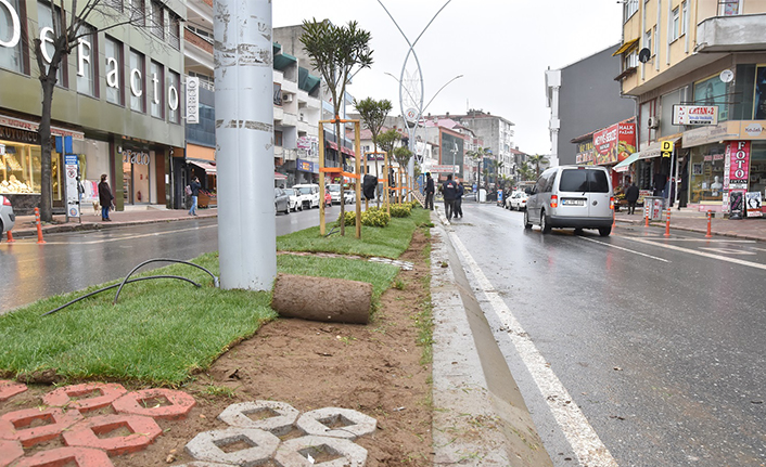 Plaj Caddesi Orta Refüj Yeşilleniyor — haber görseli