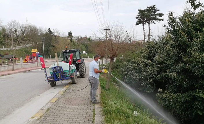 Belediye Ekipleri Sivrisinek ve Haşereye Karşı İlaçlama Yapıyor — haber görseli