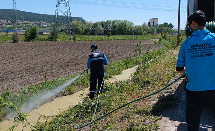 Vektörlerle mücadele ve ilaçlama aralıksız sürüyor — haber görseli