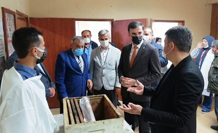 Taraklı Halk Eğitim Merkezi Yıl Sonu Sergisi Açıldı — haber görseli