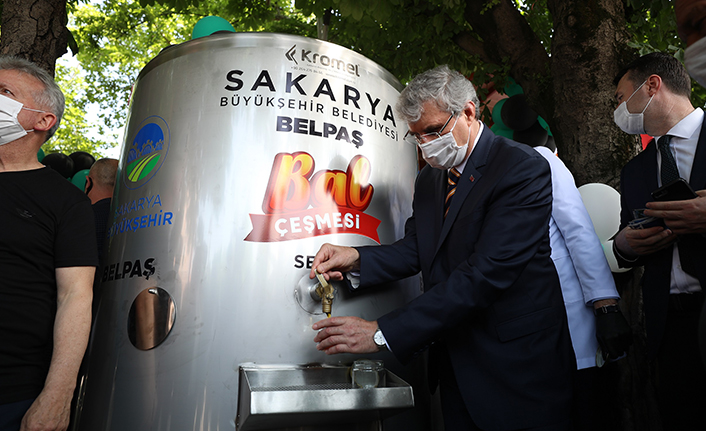 Türk balını Sakaryalı kovanlar liderliğe taşıyacak — haber görseli