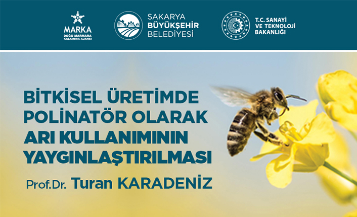 Bitkisel üretimde arı kullanımının yaygınlaşması için eğitimler verilecek — haber görseli