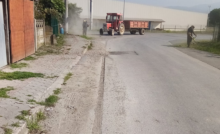 Hendek Kurban Bayramına Hazır — haber görseli