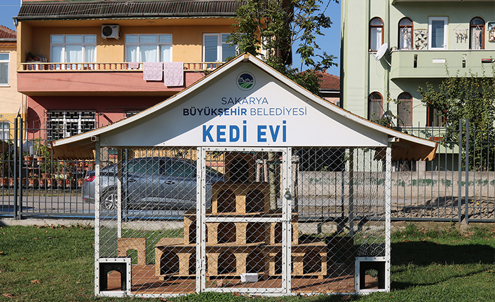 Büyükşehir Belediyesi’nden Kedi Evleri — haber görseli