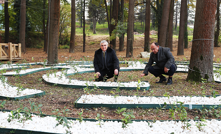 Başkan Yüce, Ormanpark için yeni bir müjde verdi — haber görseli