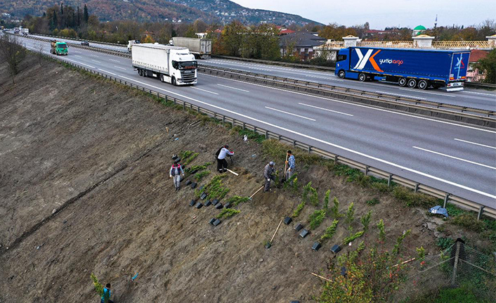 Sapanca’da Ses Perdesi Projesine Başlandı — haber görseli