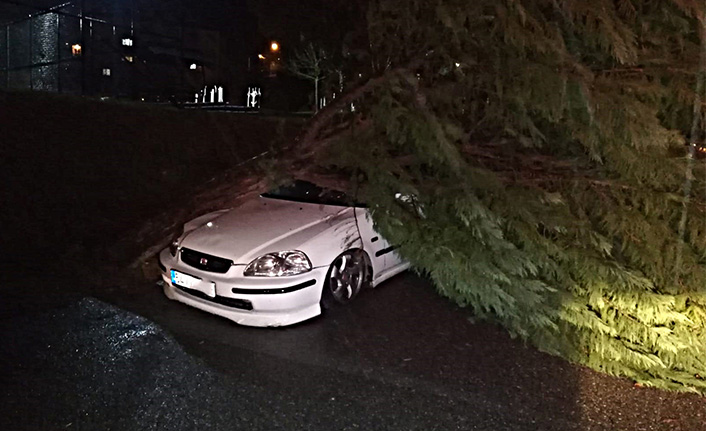 İşte Sakarya’da 2 günde oluşan hasarın bilançosu  — haber görseli