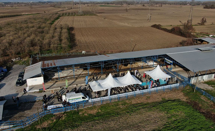 Mozzarella peynirini Sakarya üretecek — haber görseli