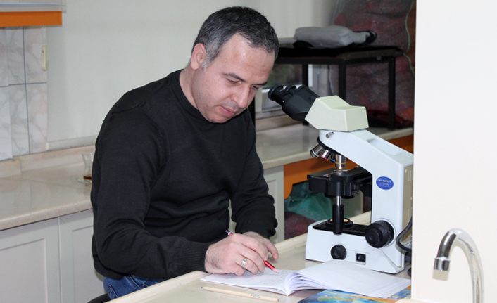Fındıkta tozlanma sorunu çözülecek — haber görseli