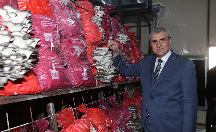 Türkiye’nin en kaliteli mantarlarını üreteceğiz — haber görseli