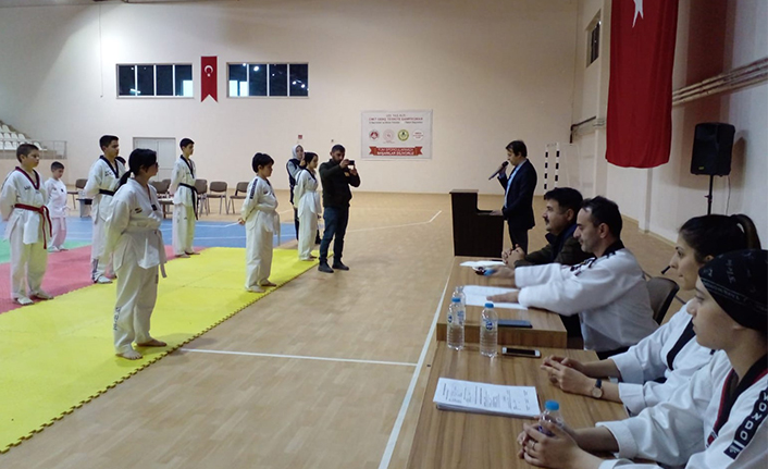 Kuzeyin çocuklarından Taekwondo şovu — haber görseli
