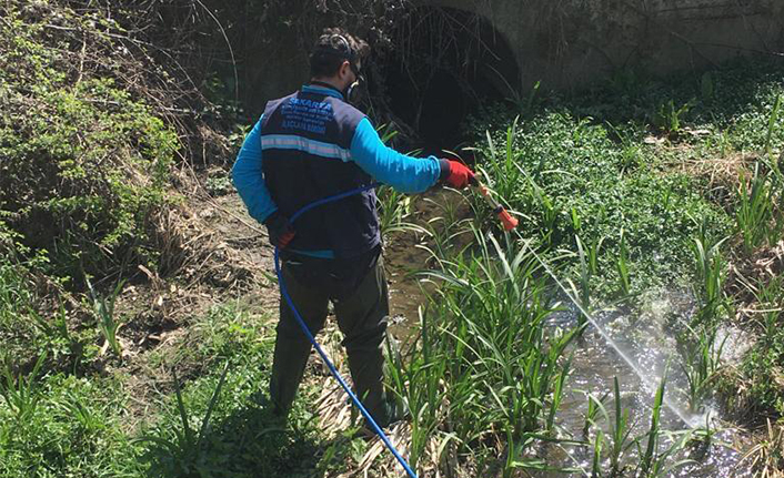 Sapanca’da Larva İlaçlama Çalışmasına Başlandı — haber görseli