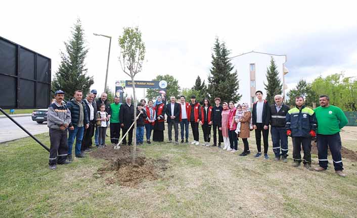 Işıksu Gençlerle Fidan Dikti — haber görseli