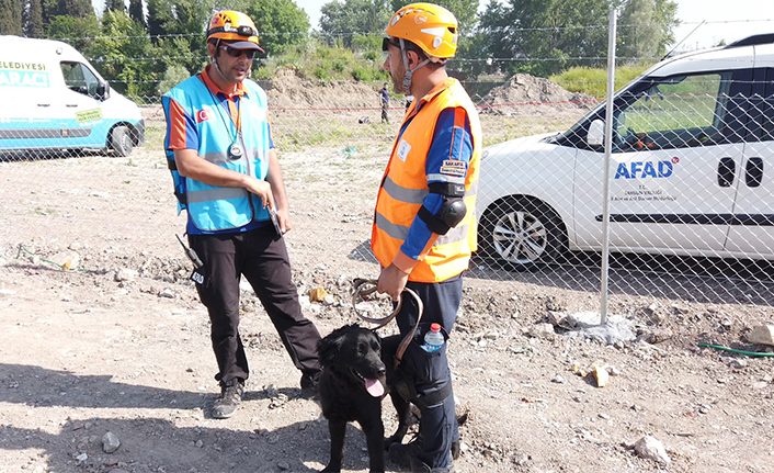 Onların görevi hayat kurtarmak: Büyükşehir parkurunda zorlu sınav — haber görseli