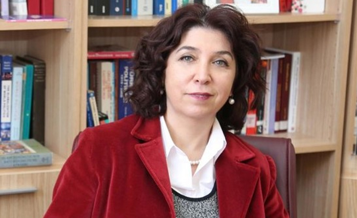 Prof. Dr. Havva Kök Arslan: “Türkiye, üyelik konusunu pazarlık masasına taşıyabilir” — haber görseli