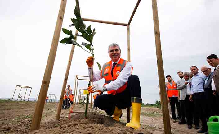 Büyükşehir’in meyve bahçesinde Sakarya’da bir ilk — haber görseli