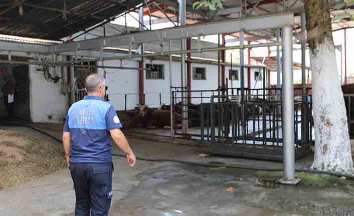Arifiye Belediyesi Kurban Satış ve Kesim yerlerini denetledi — haber görseli