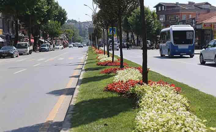 Şehrin caddeleri çiçek bahçesi gibi olacak — haber görseli