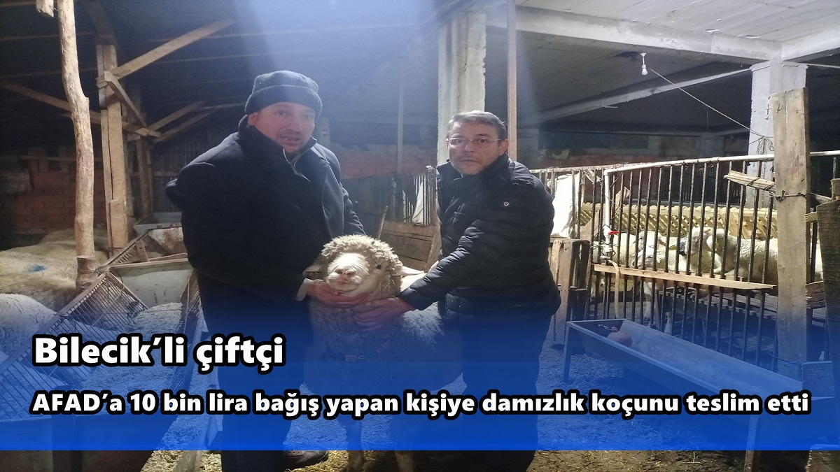Bilecik’li çiftçi AFAD’a 10 bin lira bağış yapan kişiye damızlık koçunu teslim etti — haber görseli