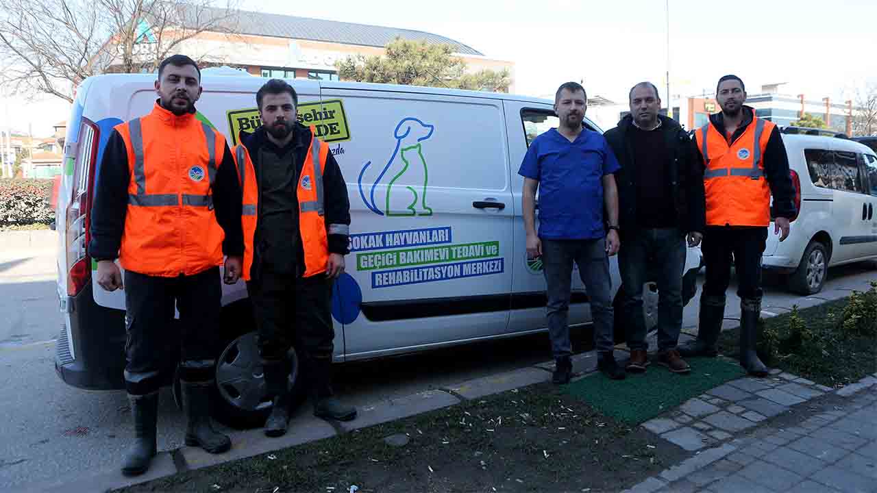 Büyükşehir enkazdan kurtarılan can dostlara şifa olacak — haber görseli
