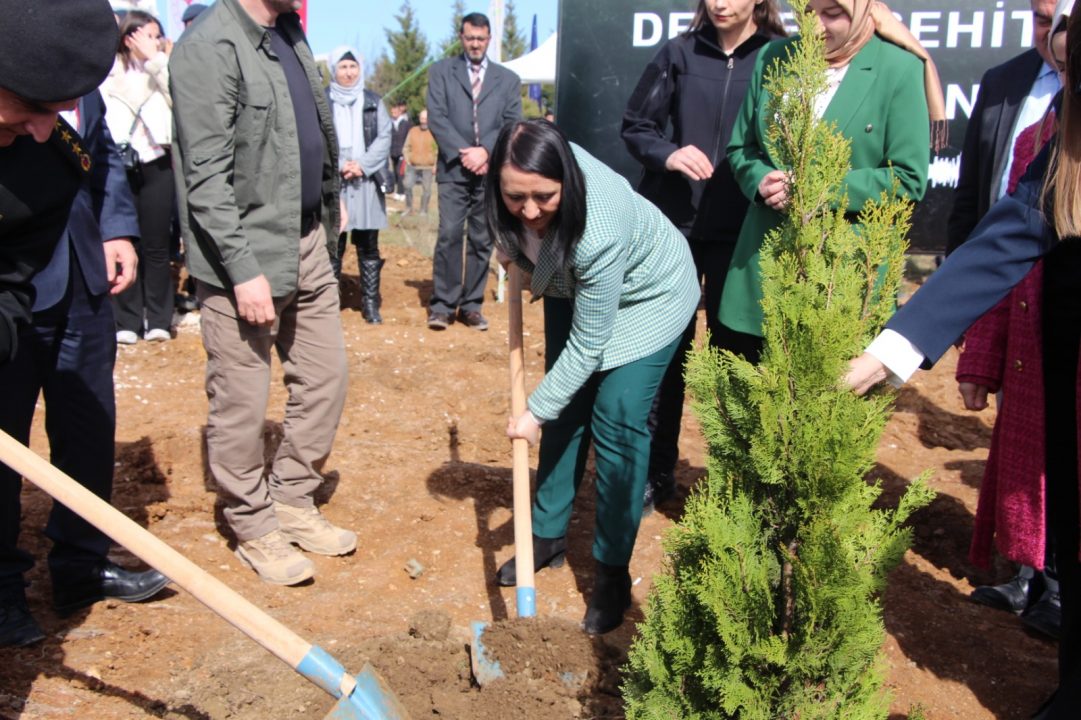 Pazaryeri’nde fidanlar depremde hayatını kaybedenler için yeşerecek — haber görseli