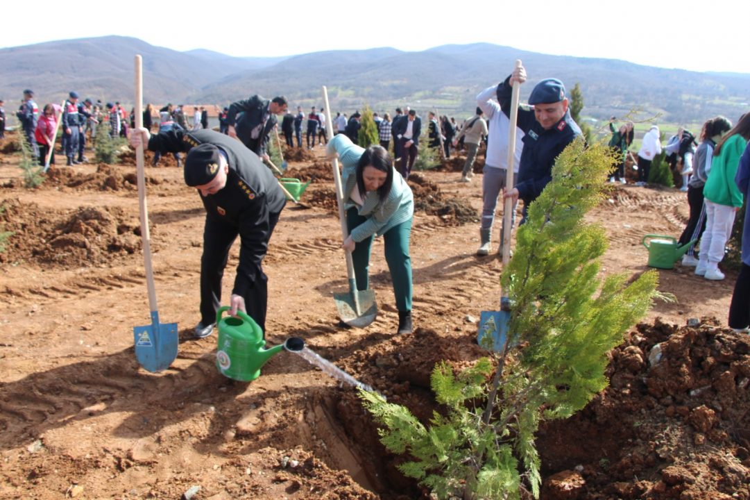 Pazaryeri’nde fidanlar depremde hayatını kaybedenler için yeşerecek — haber görseli