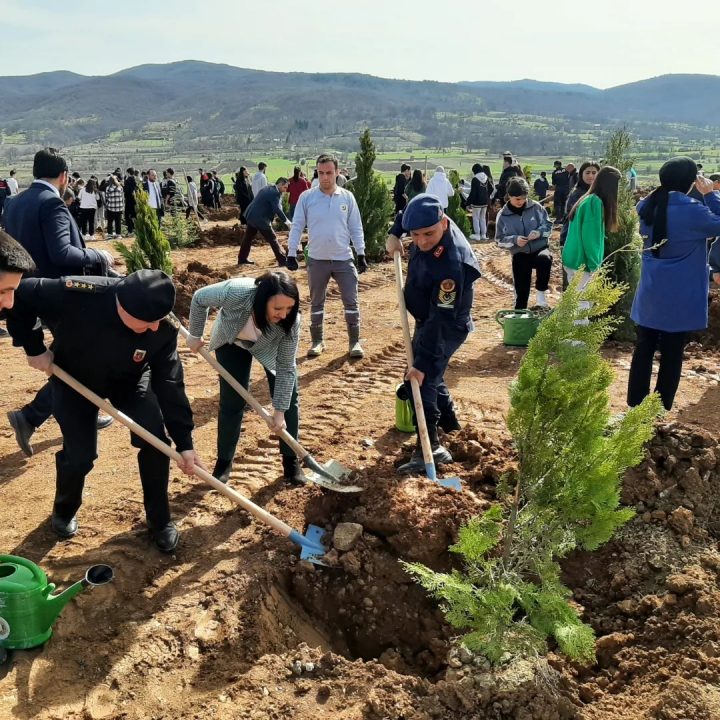 Pazaryeri’nde fidanlar depremde hayatını kaybedenler için yeşerecek — haber görseli
