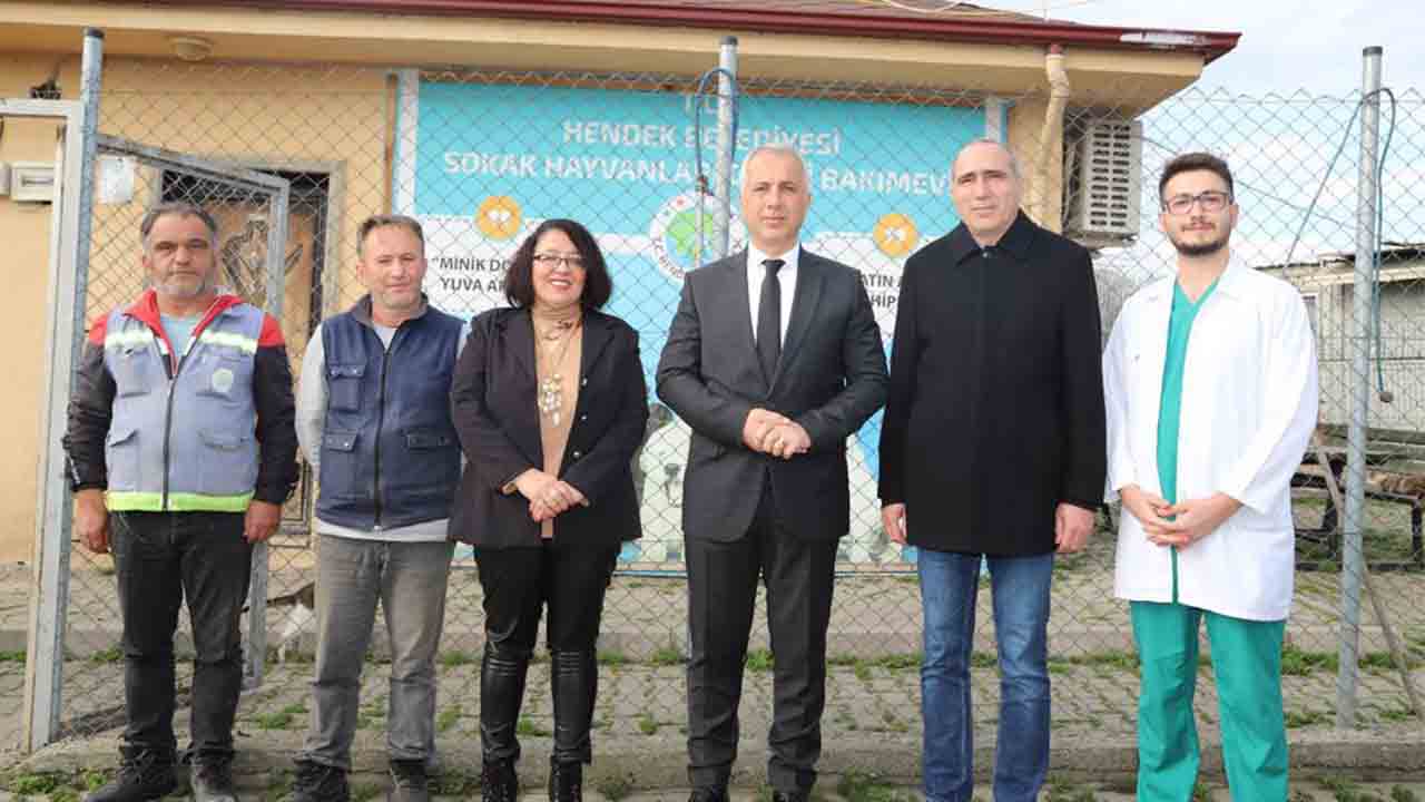 Barınağa Yoğun Bakım ünitesi kazandırıldı — haber görseli