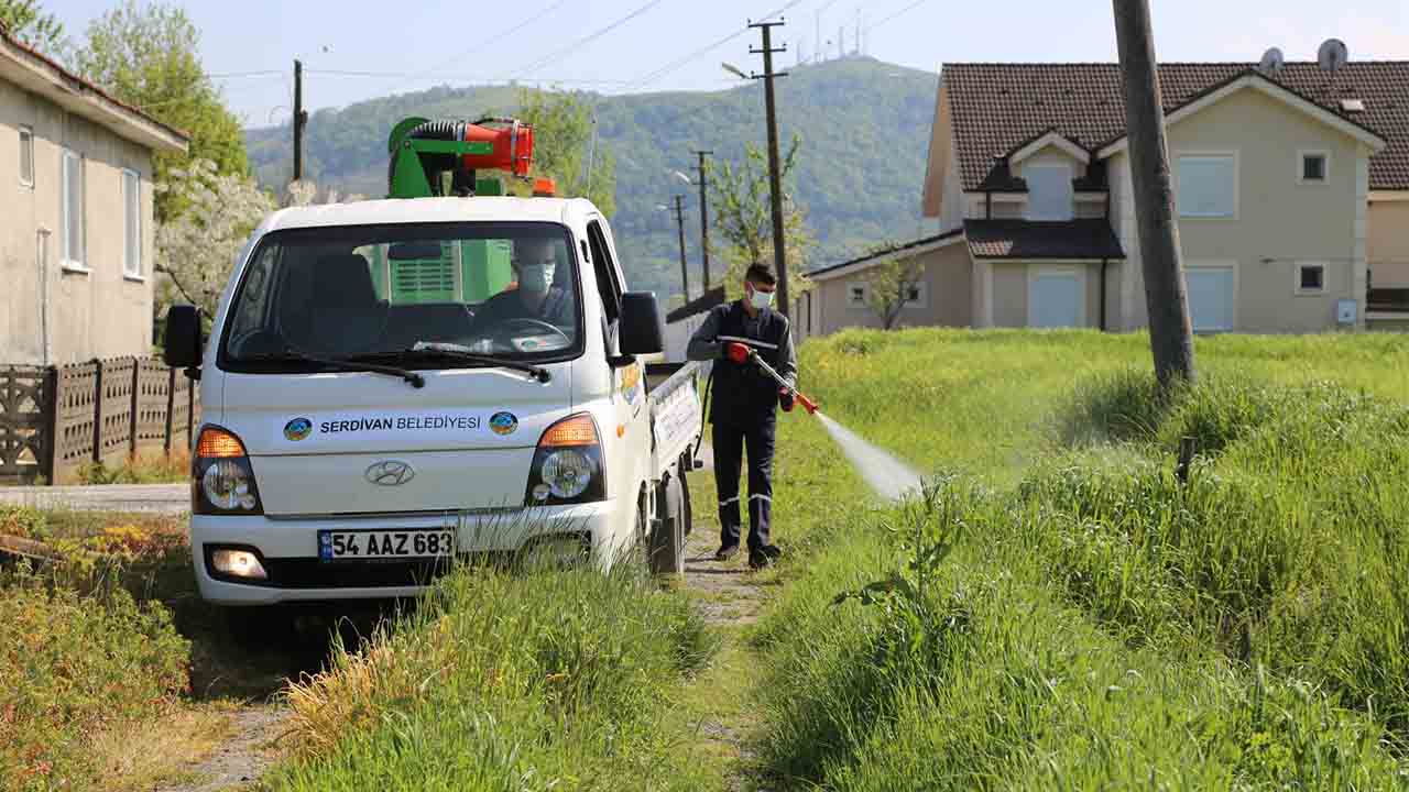 Serdivan Belediyesi’nden Çevre dostu ilaçlama — haber görseli
