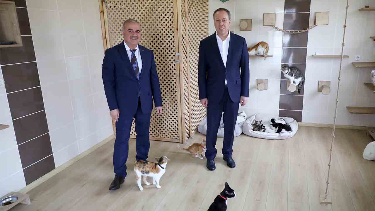 Dostlarımız bu merkezde emin ellerde — haber görseli