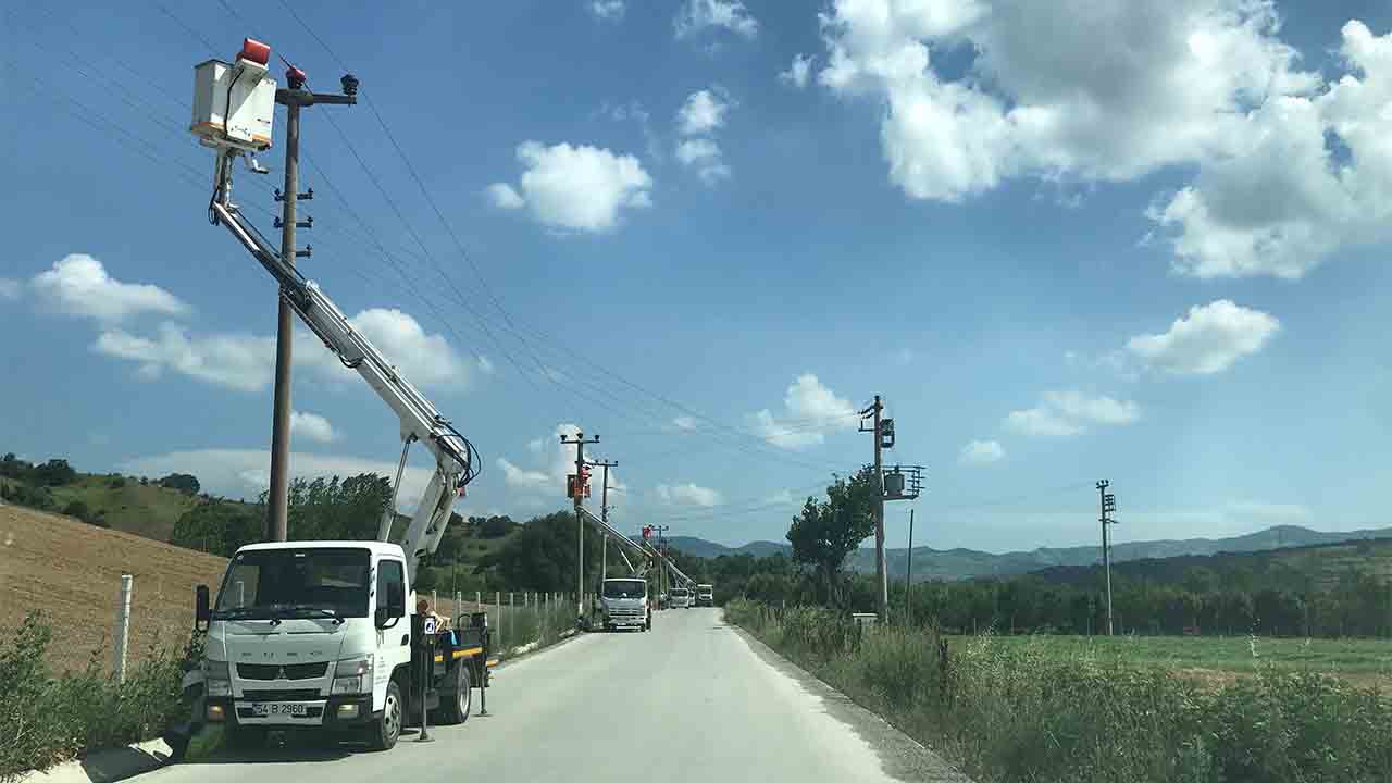 SEDAŞ, leyleklerin güvenli göç yolculuğu için önlemlerini aldı — haber görseli