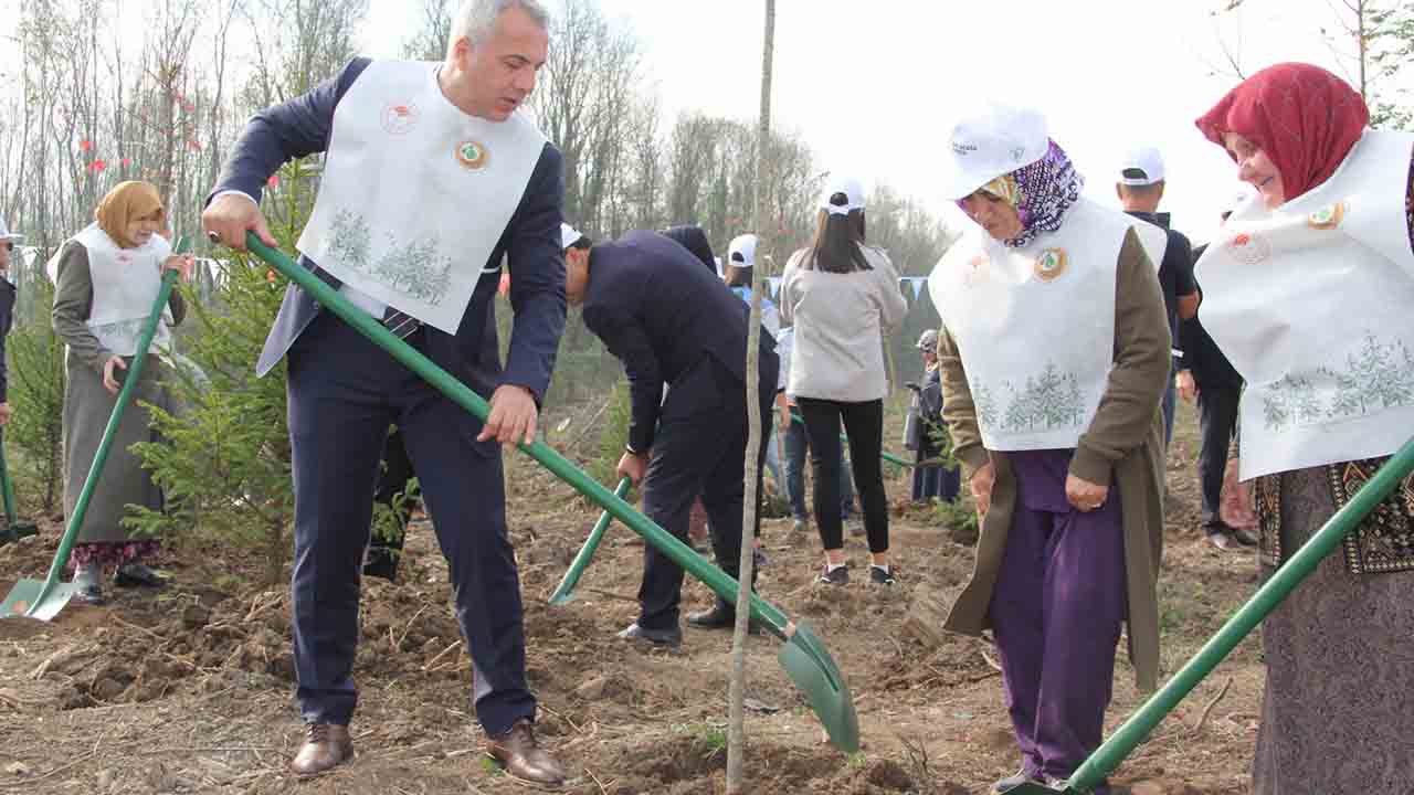 Başkan Babaoğlu: Tarımsal hizmetlerle çiftçimizin yanında olduk — haber görseli