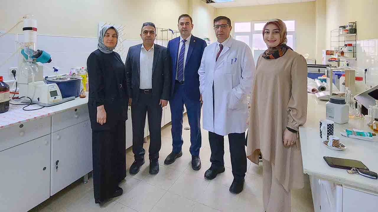 SUBÜ ve SAÜ'nün çalışması Uluslararası bilimsel dergide kapak oldu — haber görseli