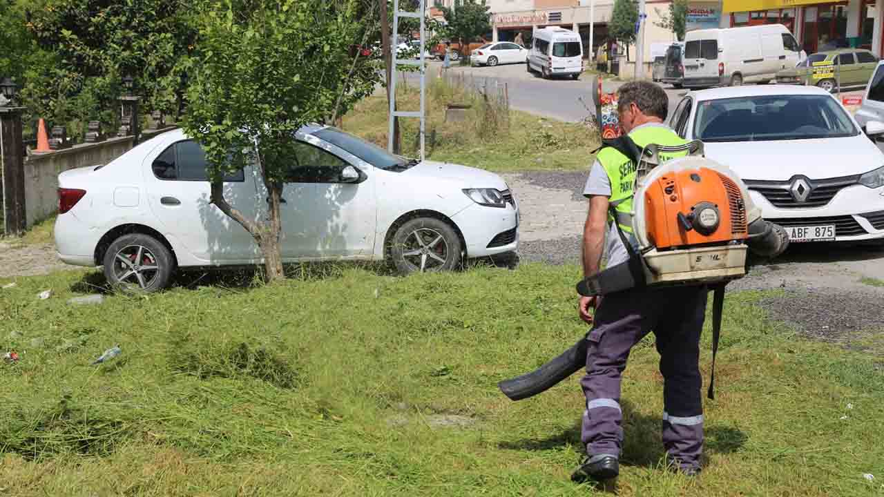 Serdivan’da temizlik var — haber görseli