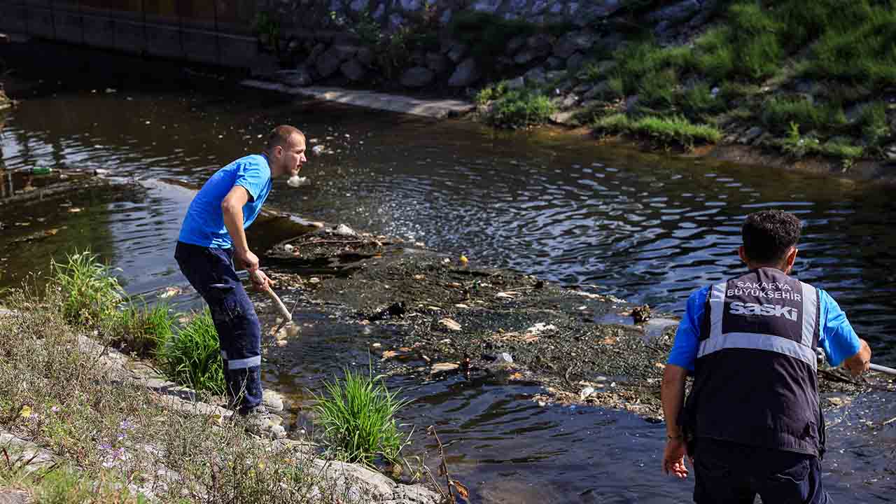 Çark Deresi’ndeki temizlik çalışmaları sıklaştırıldı — haber görseli
