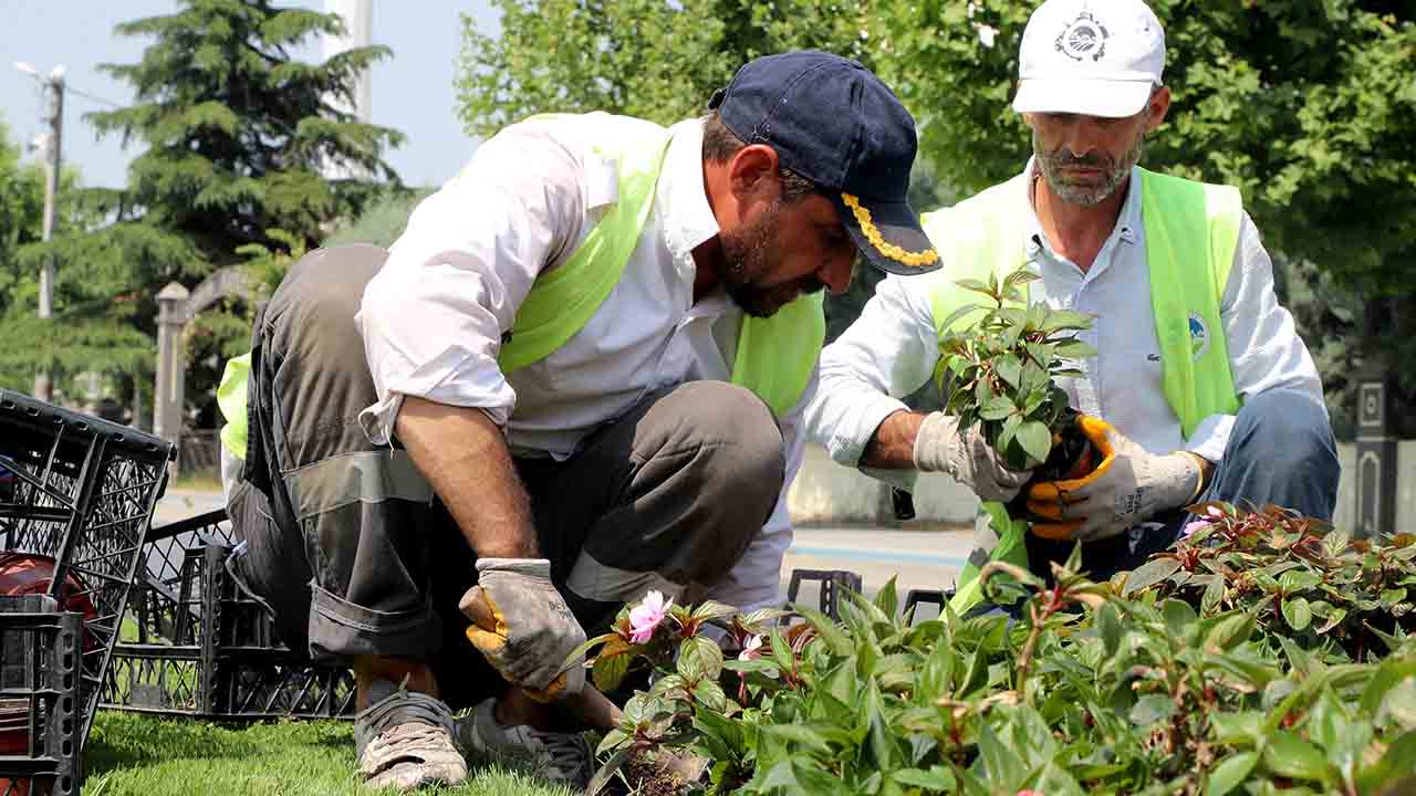 Büyükşehir bayramda misafirleri rengarenk çiçeklerle karşılayacak — haber görseli