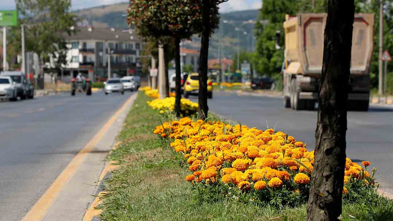 Şehrin en işlek caddeleri Büyükşehir’in dokunuşuyla çiçek bahçesine dönüşüyor — haber görseli