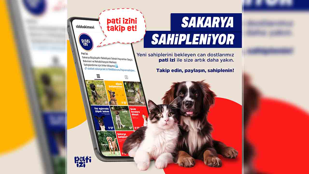 Can dostlar Büyükşehir’in ‘Pati İzi’ ile yuvalarını buluyor: ‘Sahiplendirme’ kampanyası başladı — haber görseli