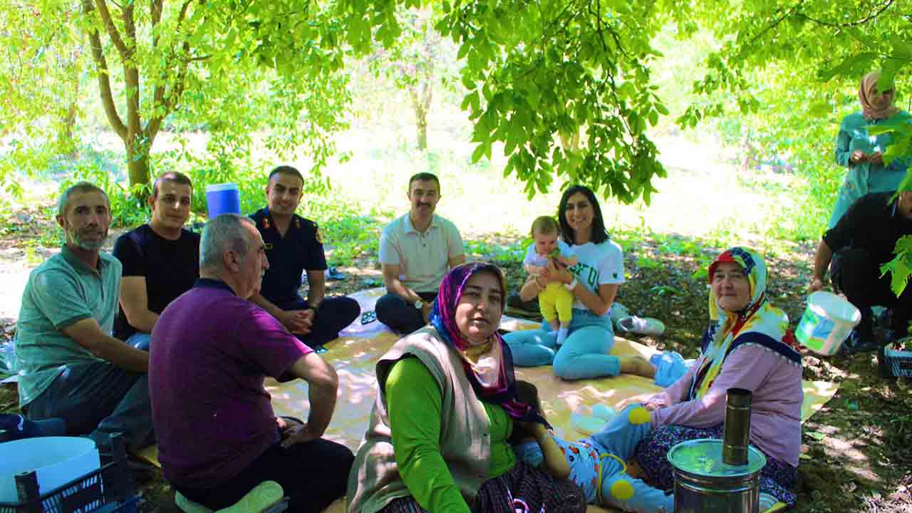 Taraklı Kaymakamı Burak Serttaş Akçapınar mahallesi’nde vişne hasadına katıldı — haber görseli