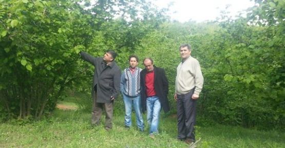 Ağaçlandırma devam edecek — haber görseli