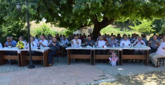 Alandere’de dev organizasyon — haber görseli