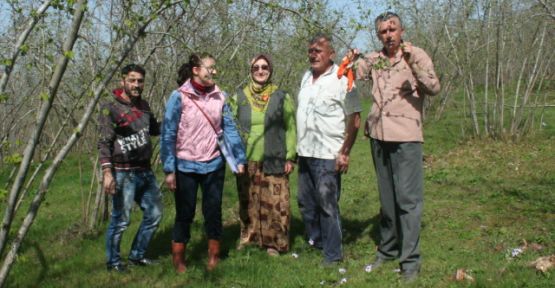 Arazi çalışmaları hız kazandı — haber görseli