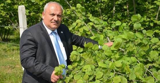 Çiftçiler Dikkat ÇKS kayıtları 30 Mayısta Son Buluyor — haber görseli