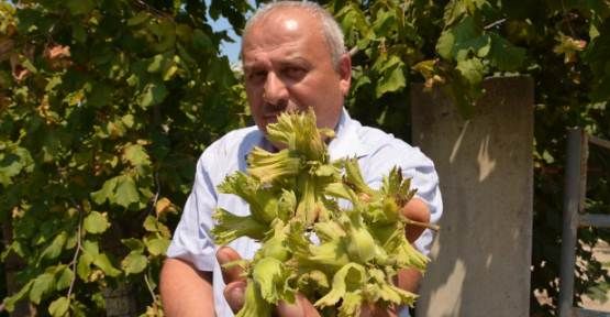 Çiftçilere Müjde ÇKS Kayıtları Uzatıldı — haber görseli