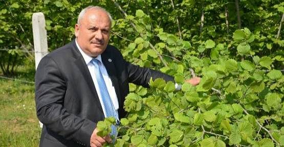 Fındık 15 Liraya Yükselebilir — haber görseli