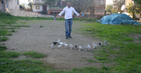 Güvercin Kültürüne Sahip Çıkalım — haber görseli