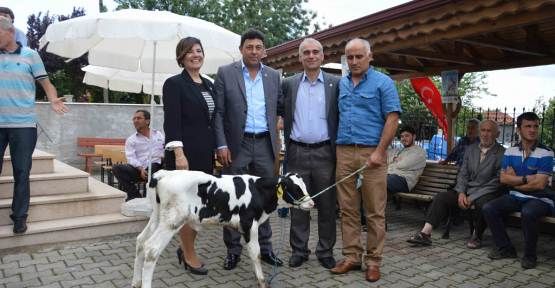 Hakan Candemir Mavi Karadeniz Televizyonunda — haber görseli