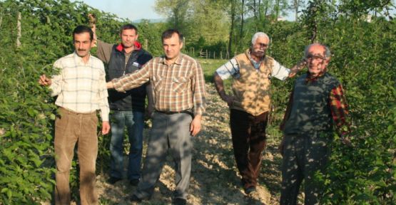 Hobi Bahçesinden Ekonomik Kazanca — haber görseli