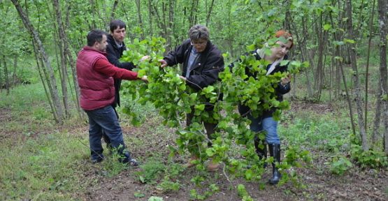 İtiraz ve mahkeme yolu açık — haber görseli