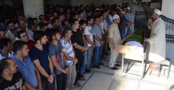 Kocaali bir değerini yitirdi — haber görseli